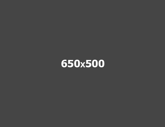 650×500